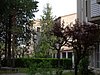 IMGP0810.JPG