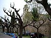 IMGP0818.JPG